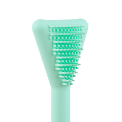 Clean Genie Cleansing Wand